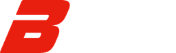 BFC – Berber Fighting Championship